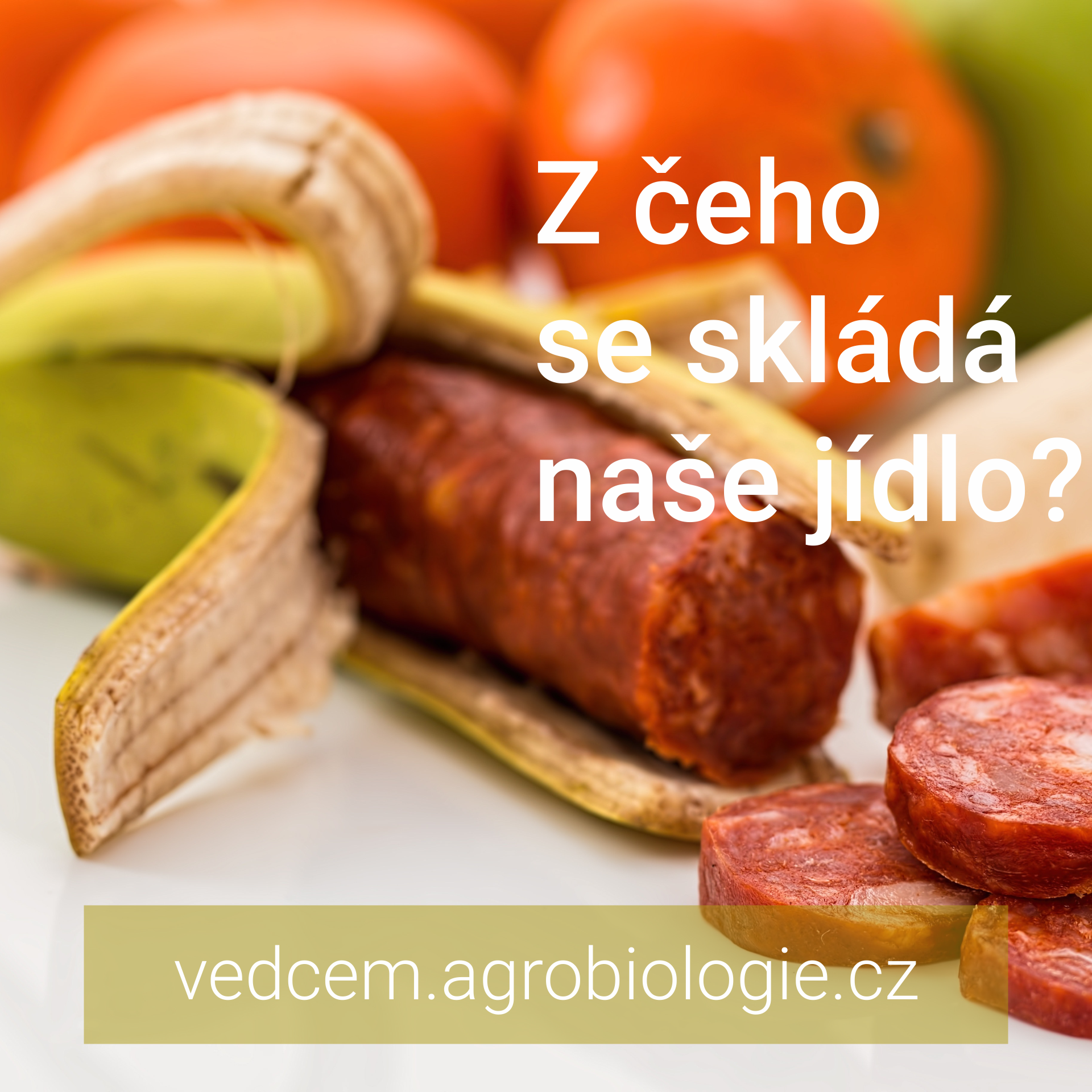 Z čeho se skládá naše jídlo